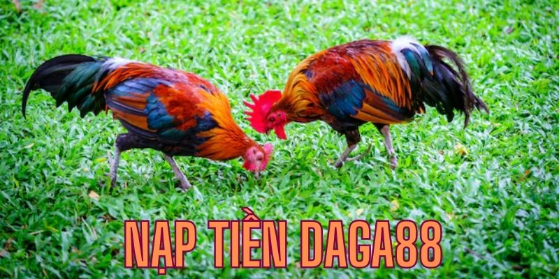 cách nạp tiền đá gà 88